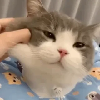 😫
