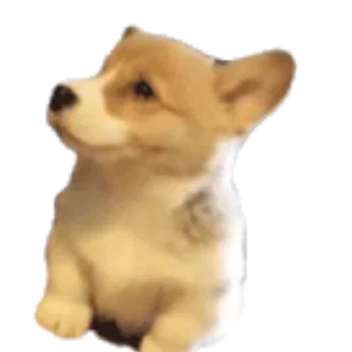 🐺