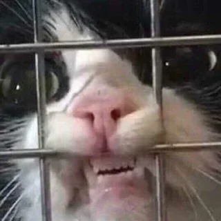 😬