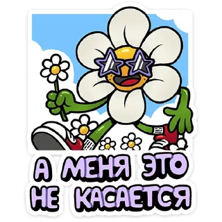 😎