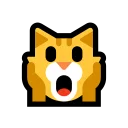 🙀