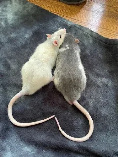 ❤