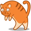 🏃