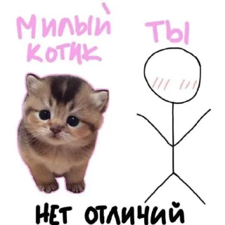 💌