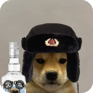 🐶
