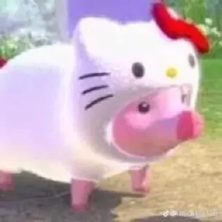 😺
