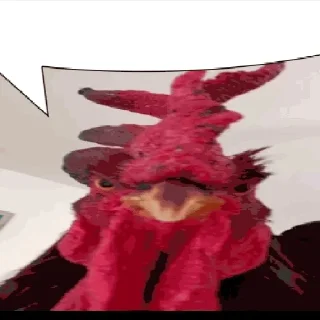 🐔