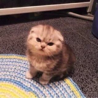 🧶