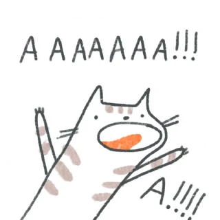 🙀