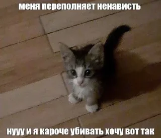 nevduplenysh :: @fStikBot