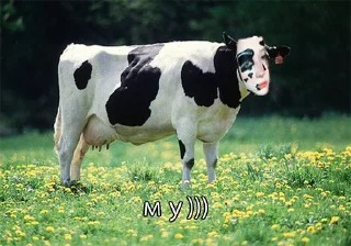 🐮