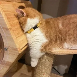 😮‍💨