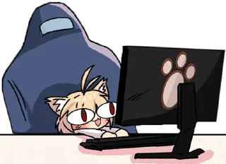 🖥