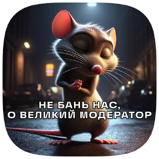 🙈