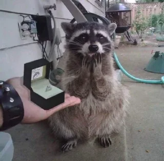 💍