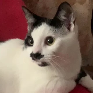 🤨
