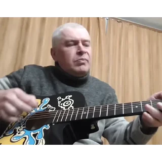 🎸