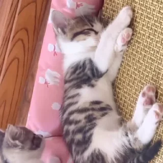 🥰