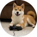 🎮