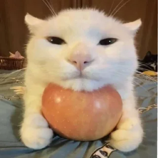 🍎