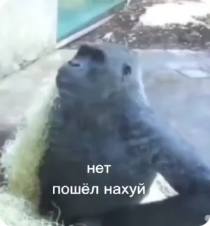 🖕