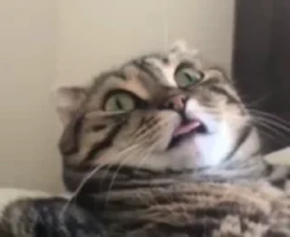 😵