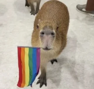 🏳‍🌈