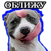 BultStick (@StickStickov)