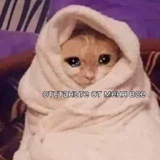 😥