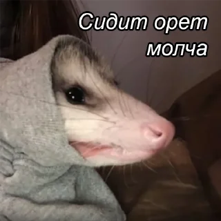🤐
