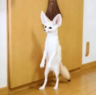 😦
