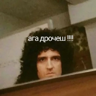 😼