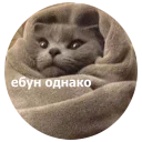 ❄