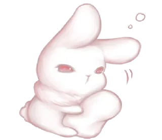 🐰