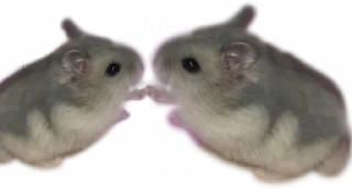 🤝