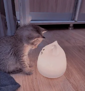 💡