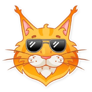 😎