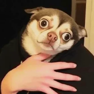 ☺️