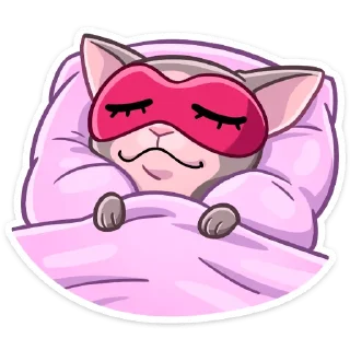 😴