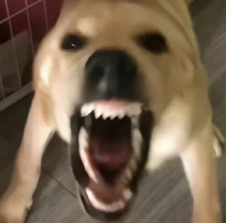 😒