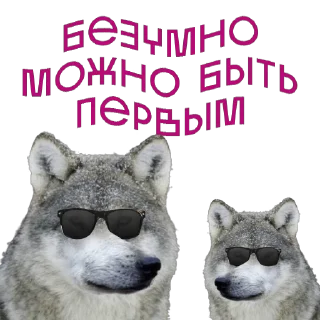 🐺