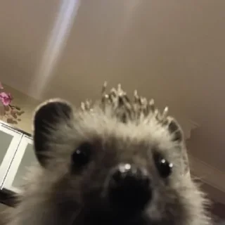 😐
