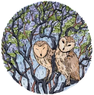 🦉