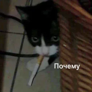 🧐