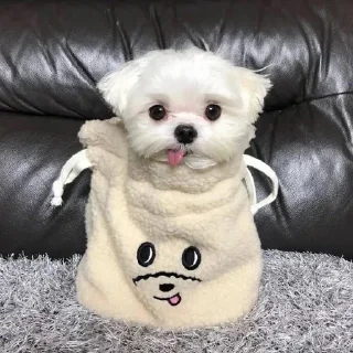 😛