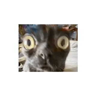 👹