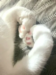 ❤