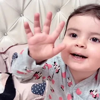 ✋