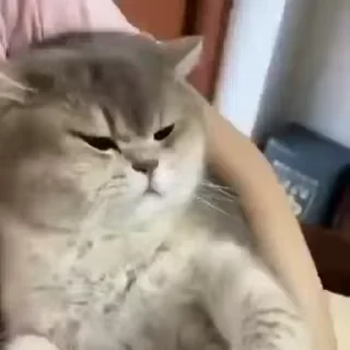 🤬