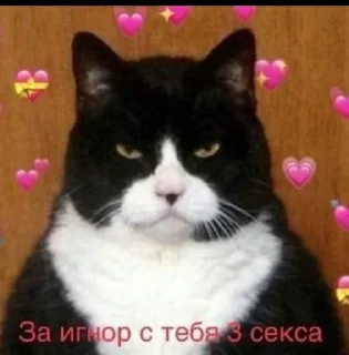 💝
